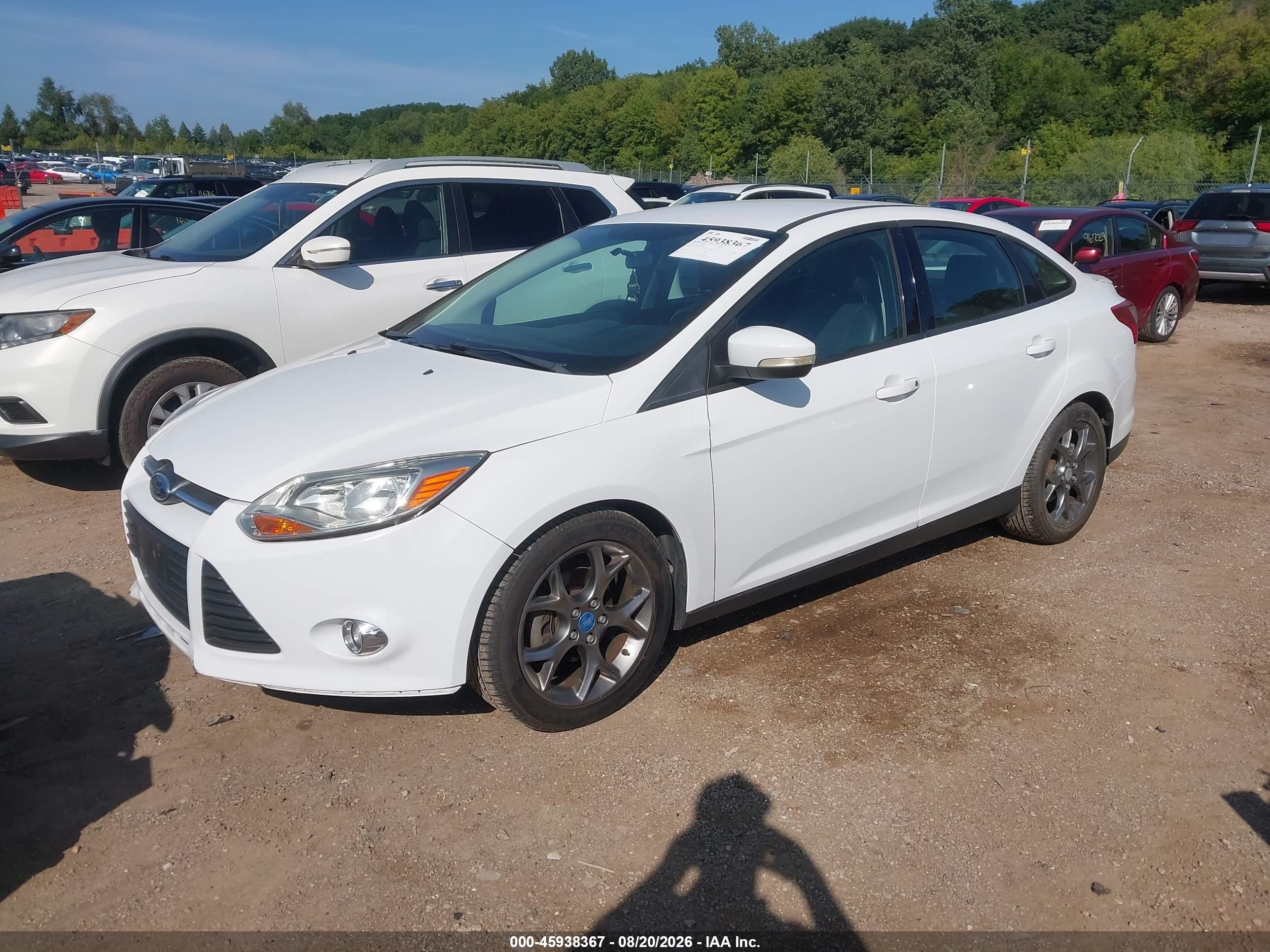 2013 Ford Focus Se Белый vin: 1FADP3F29DL246045