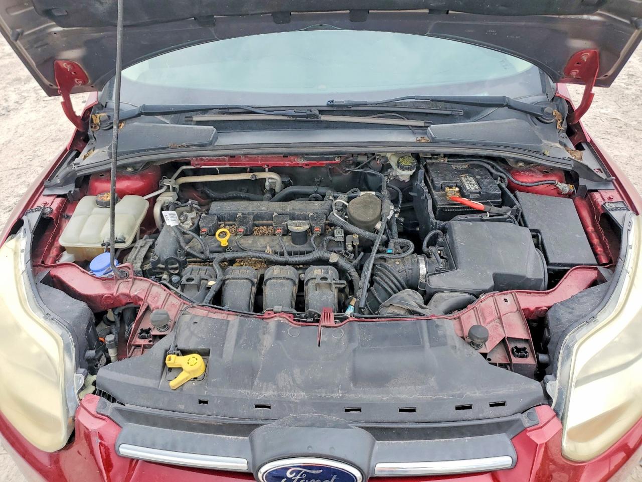 2014 Ford Focus Se Burgundy vin: 1FADP3F29EL207988