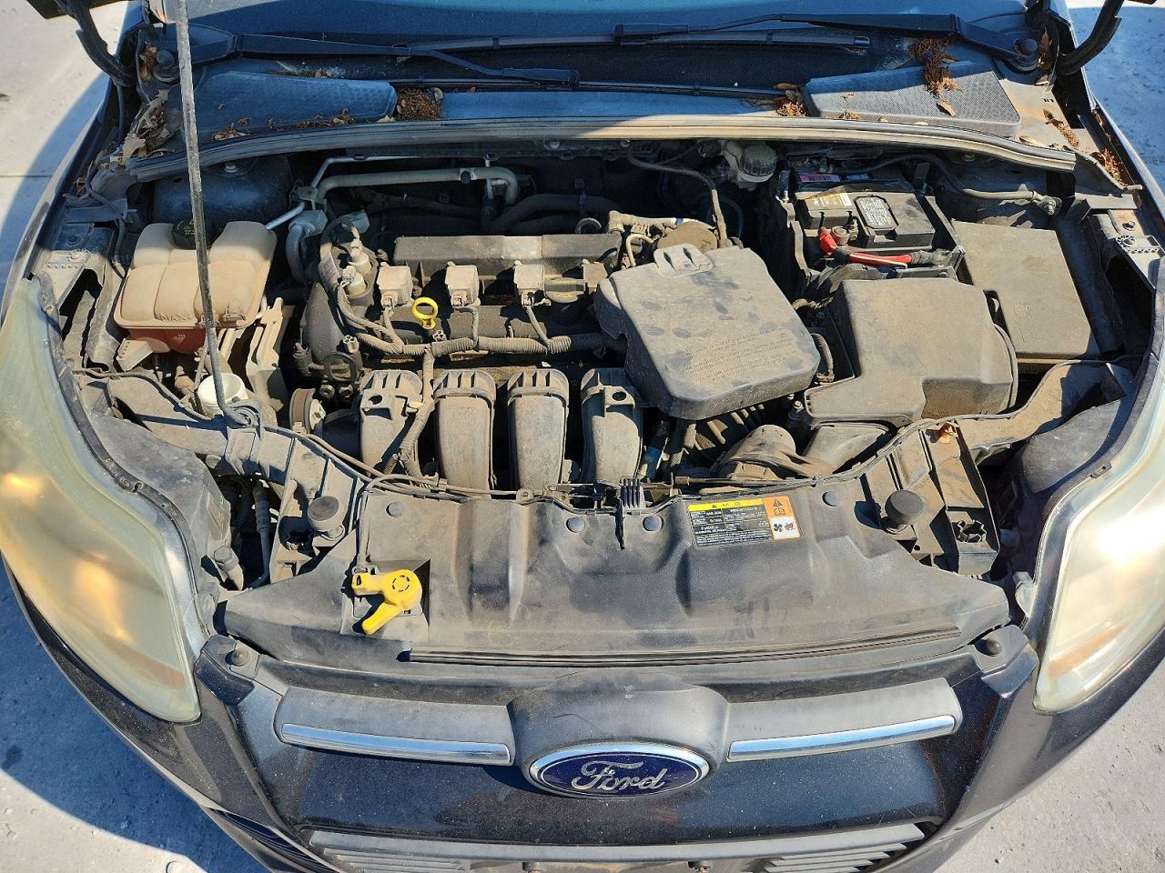 2014 Ford Focus Se Black vin: 1FADP3F29EL249044