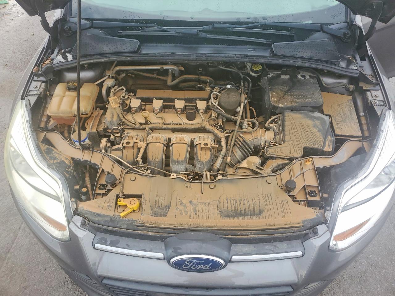 2014 Ford Focus Серый vin: 1FADP3F29EL415661