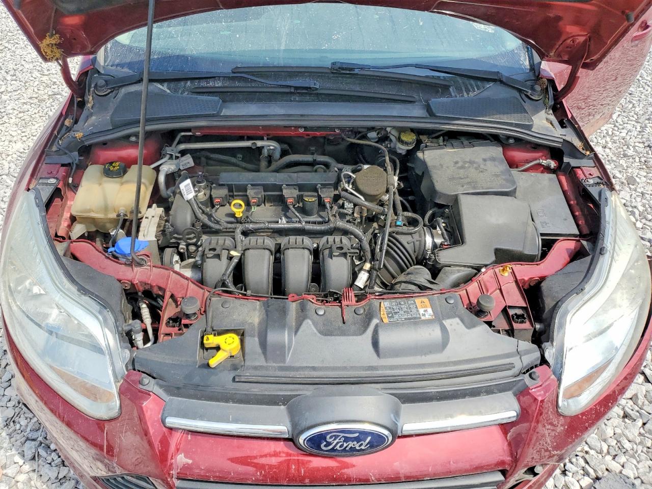 2014 Ford Focus Se Maroon vin: 1FADP3F29EL426238