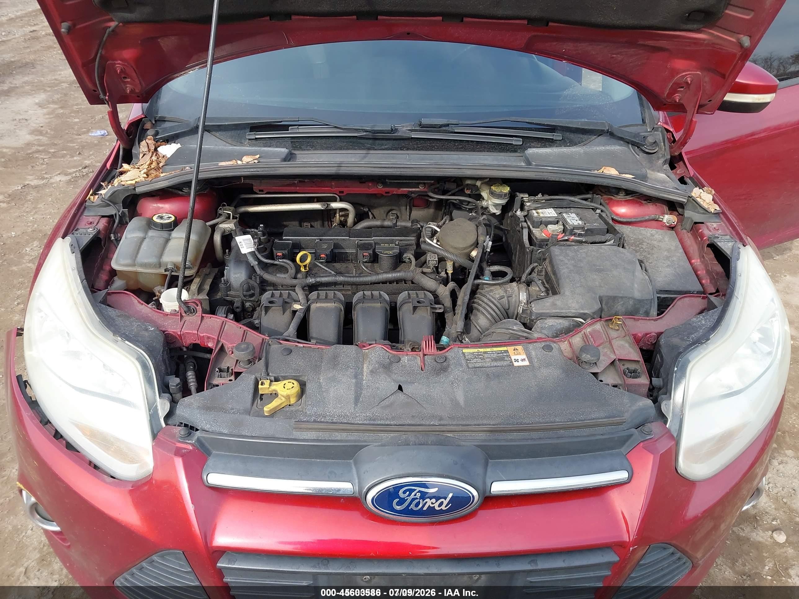 2013 Ford Focus Se Красный vin: 1FADP3F2XDL249794