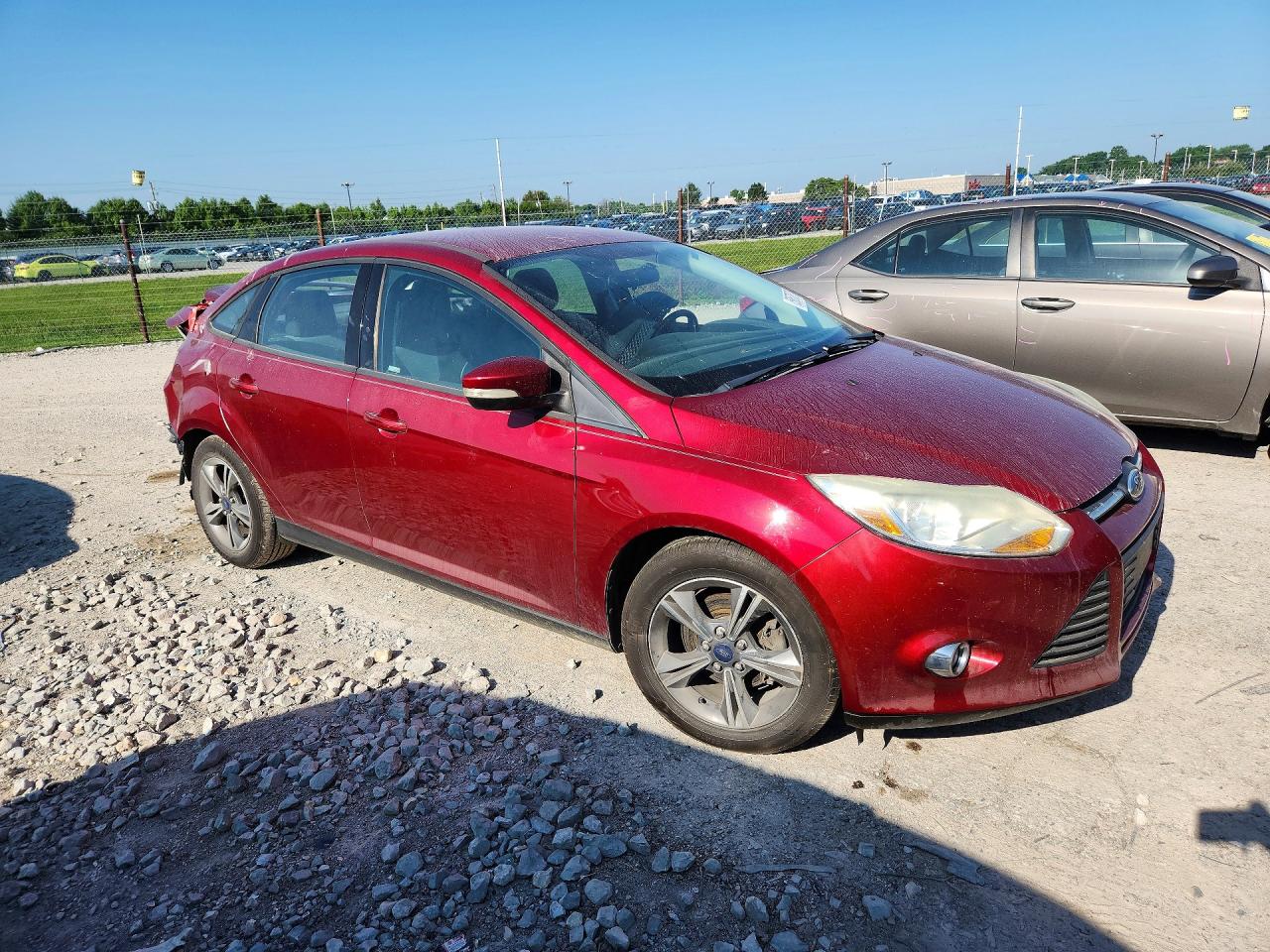 2014 Ford Focus Se Красный vin: 1FADP3F2XEL310904