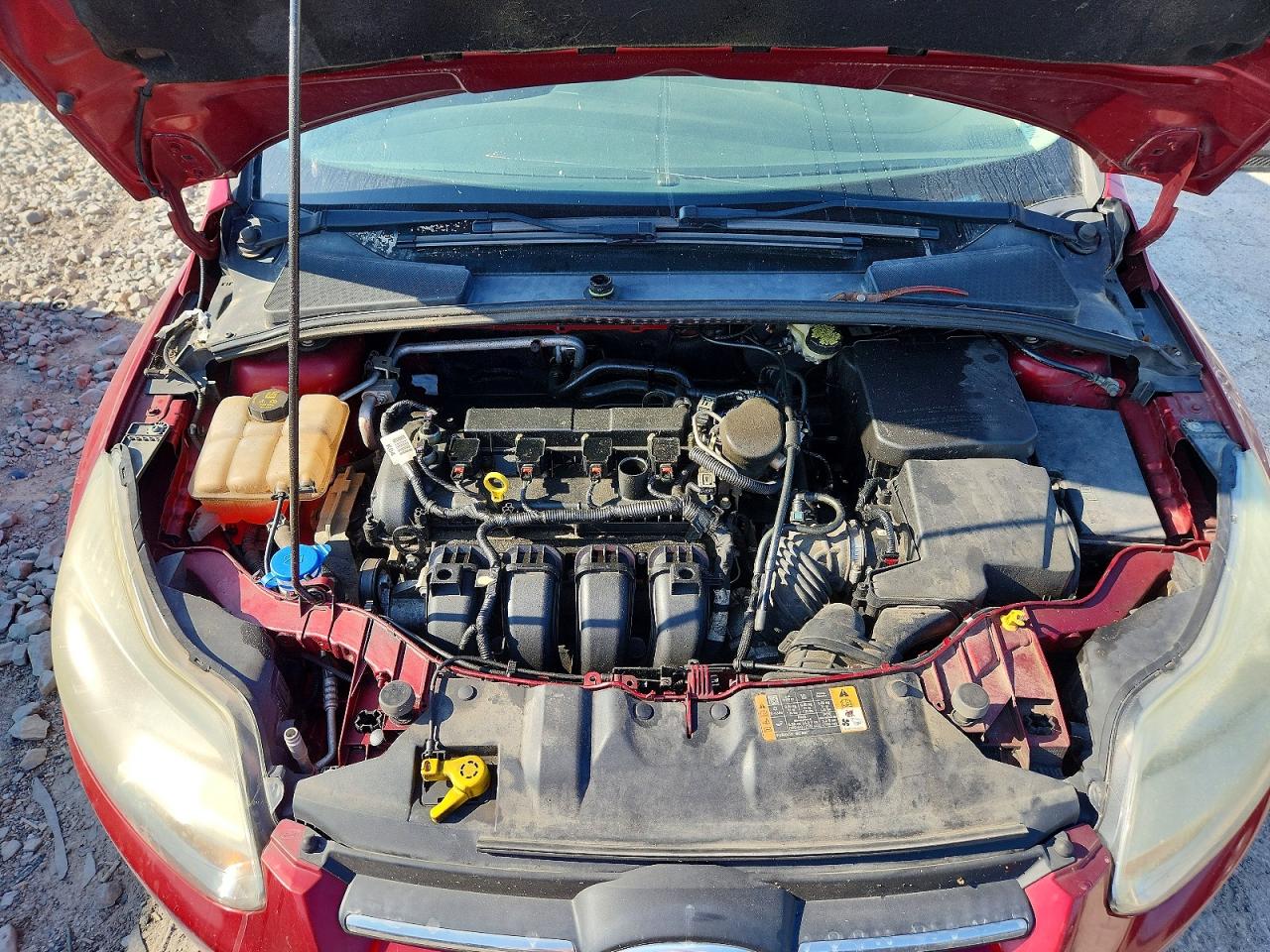 2014 Ford Focus Se Красный vin: 1FADP3F2XEL310904