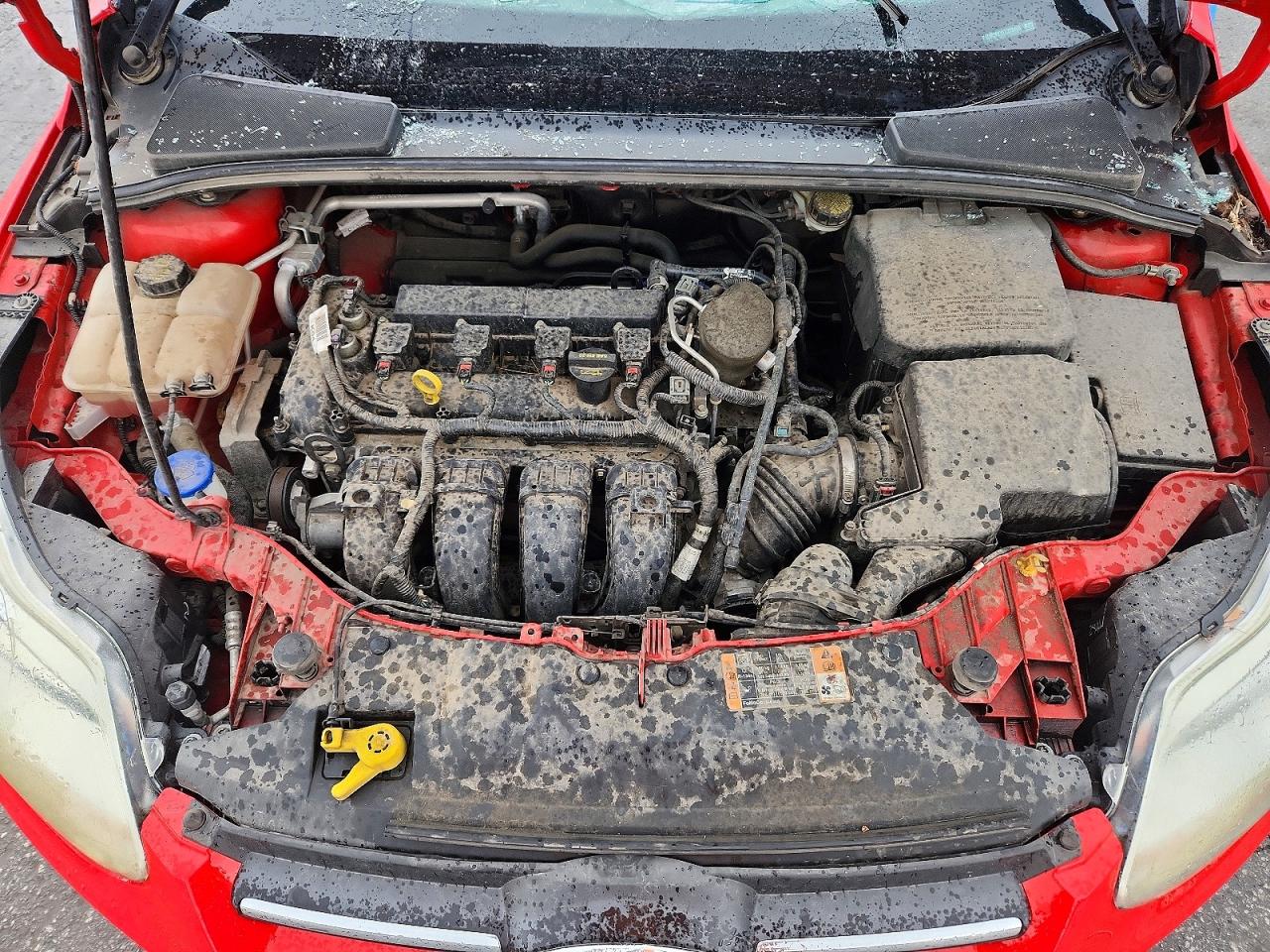 2014 Ford Focus Se Red vin: 1FADP3F2XEL373453