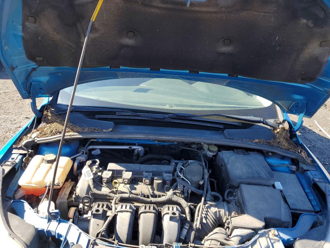 2014 Ford Focus Se Blue vin: 1FADP3F2XEL427009