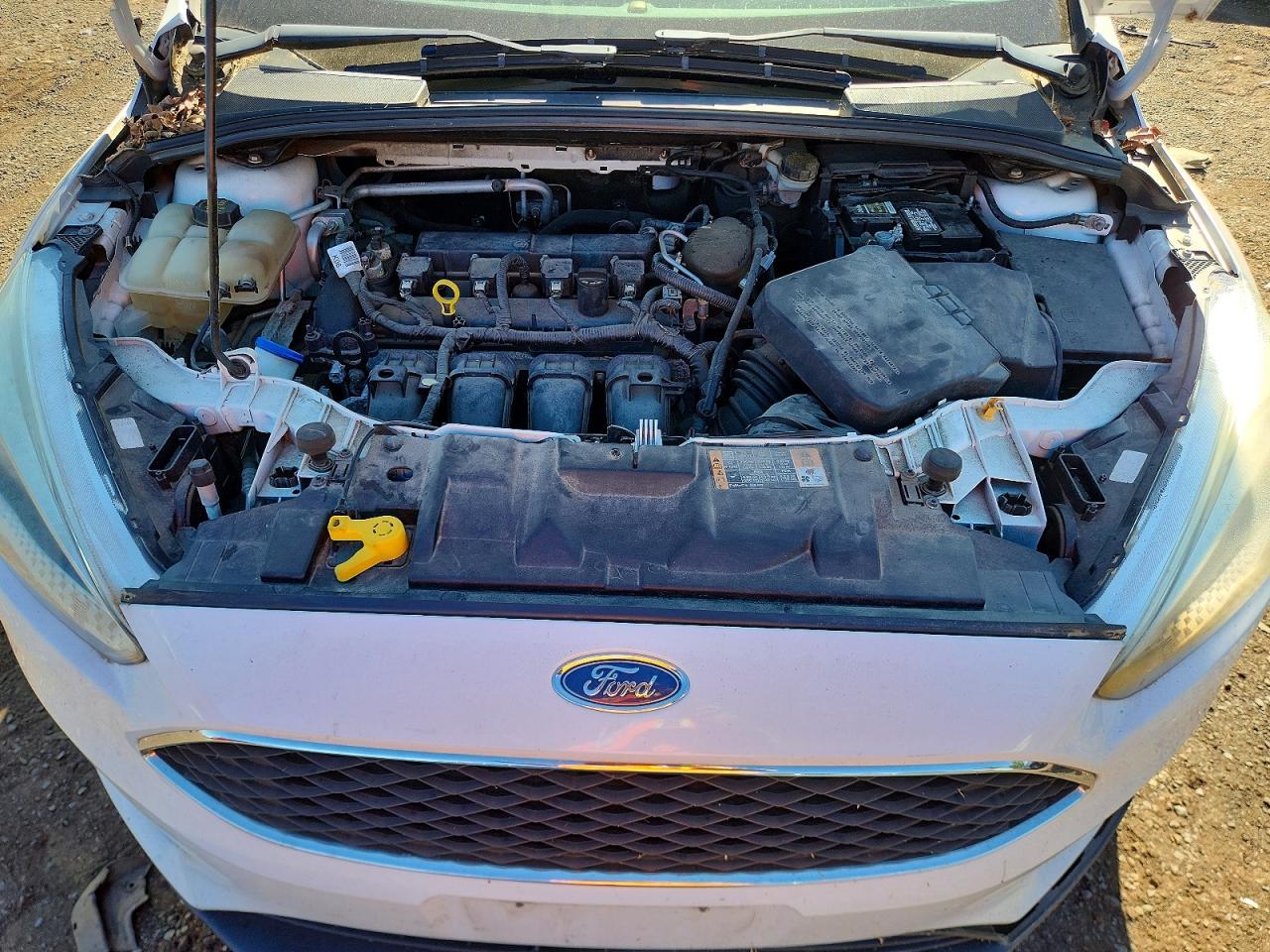 2015 Ford Focus Se White vin: 1FADP3F2XFL263276