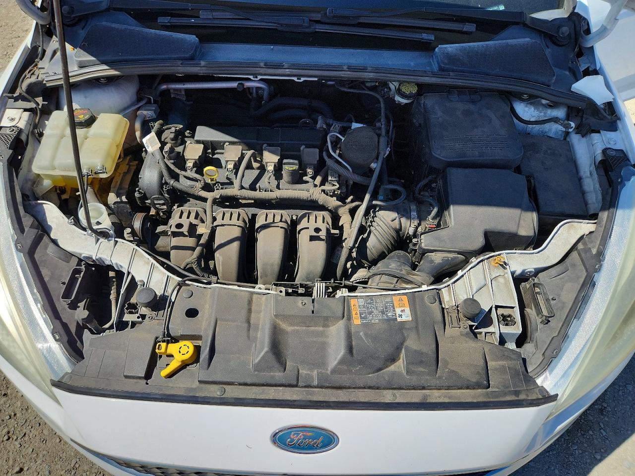 2015 Ford Focus Se Белый vin: 1FADP3F2XFL317353