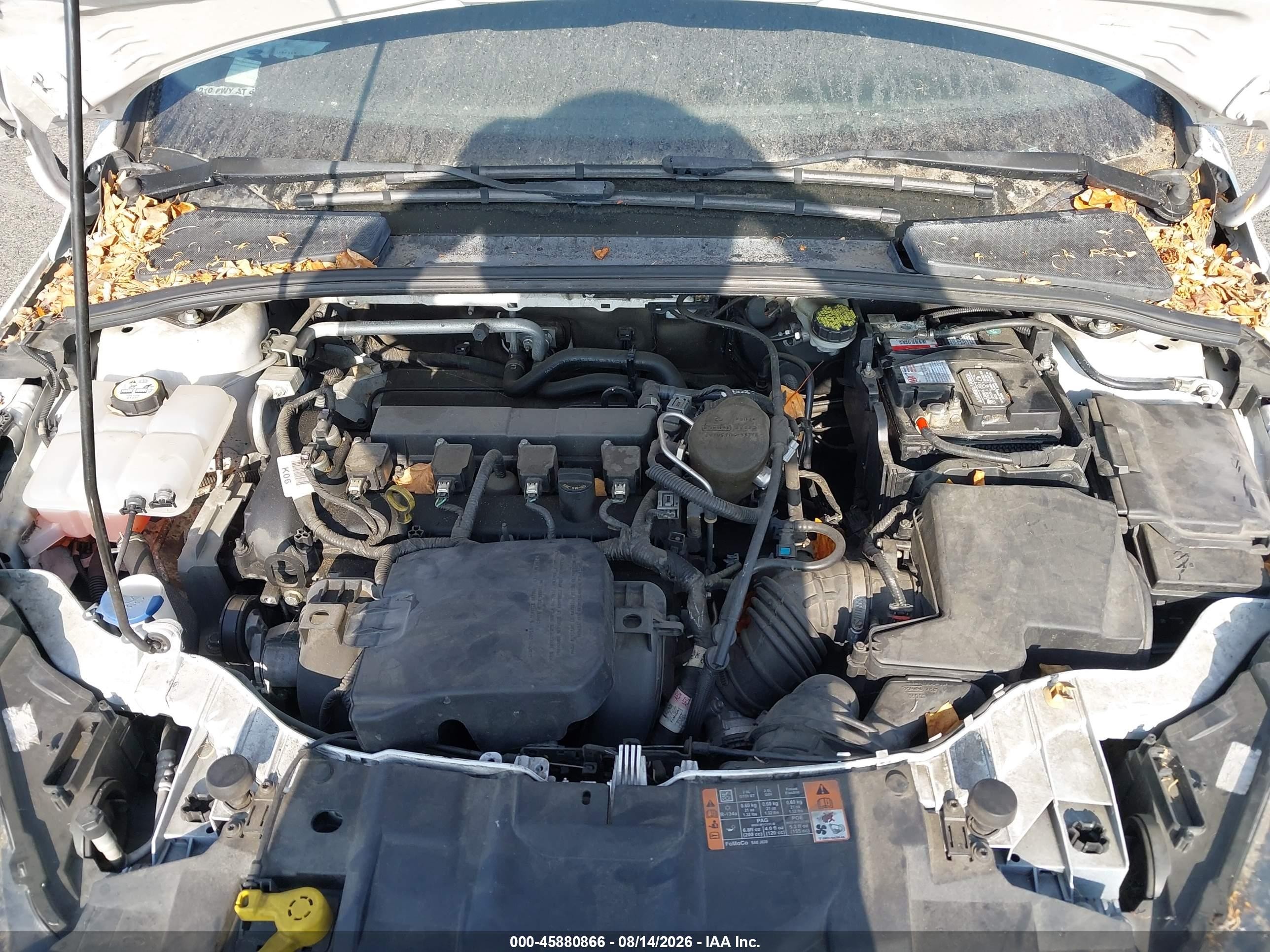 2015 Ford Focus Se Белый vin: 1FADP3F2XFL331043