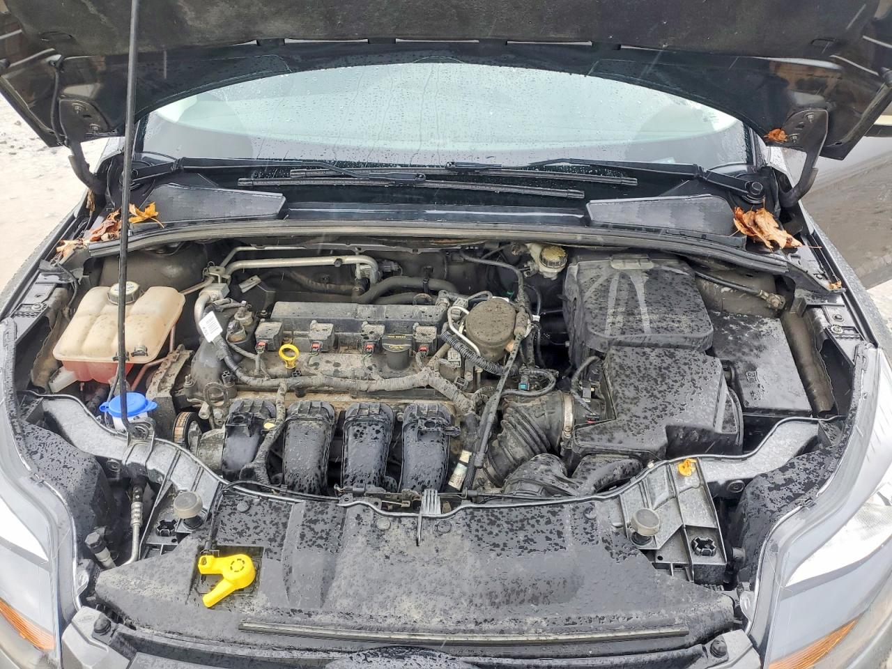 2013 Ford Focus Titanium Gray vin: 1FADP3J22DL300597