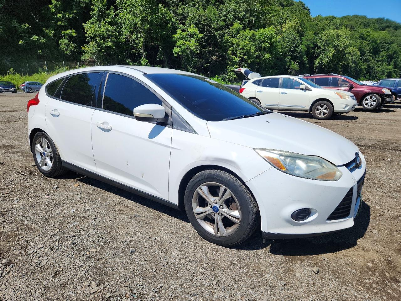 2014 Ford Focus Se Белый vin: 1FADP3K20EL141434