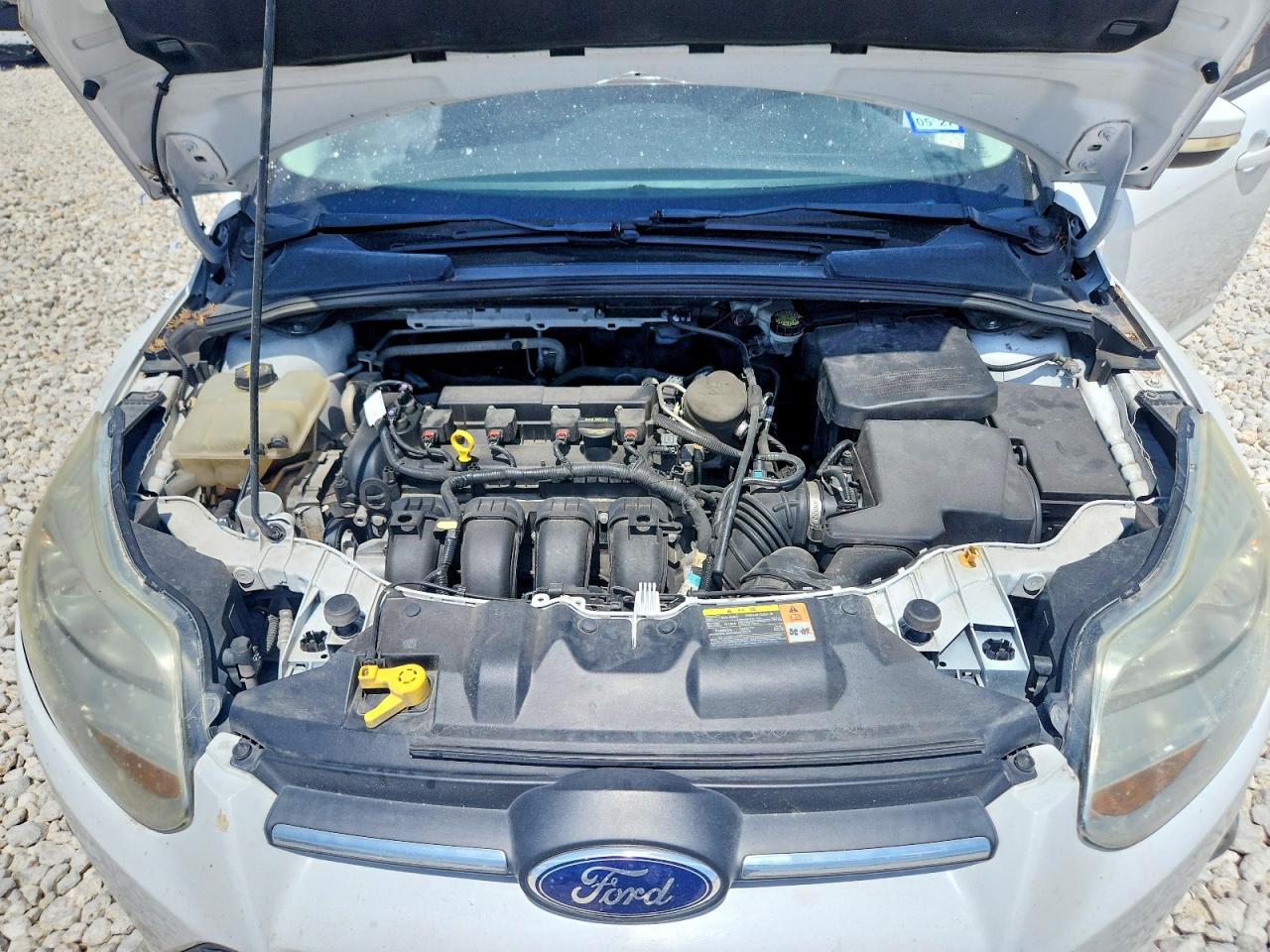 2014 Ford Focus White vin: 1FADP3K20EL207724