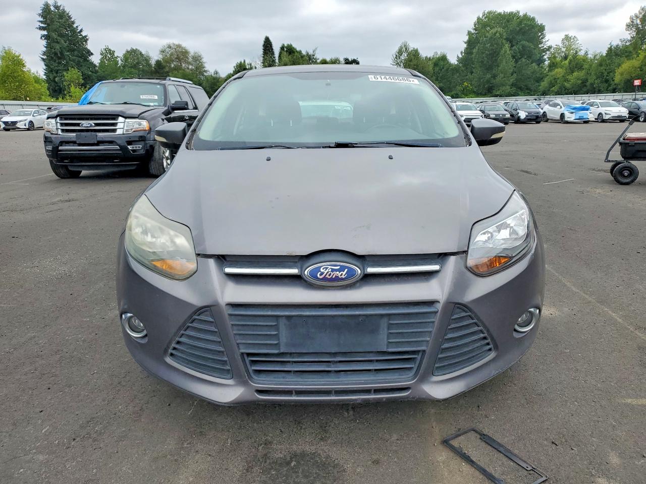 2014 Ford Focus Se Gray vin: 1FADP3K20EL290409