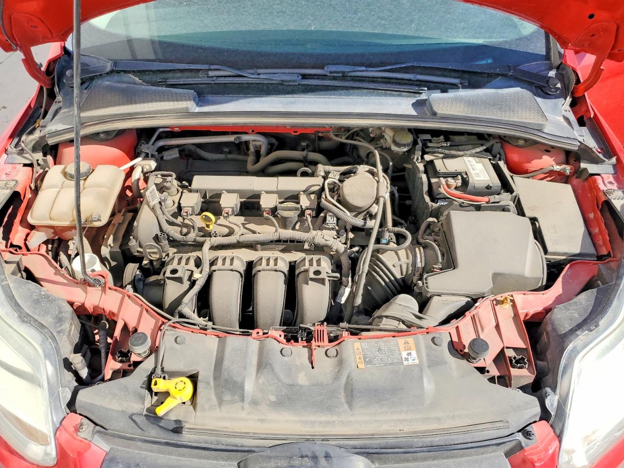 2014 Ford Focus Se Red vin: 1FADP3K20EL312473