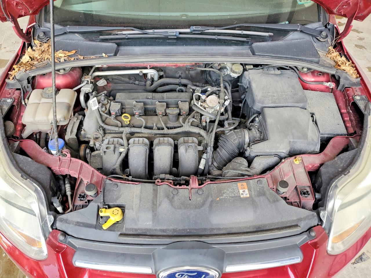 2014 Ford Focus Se Red vin: 1FADP3K20EL371913