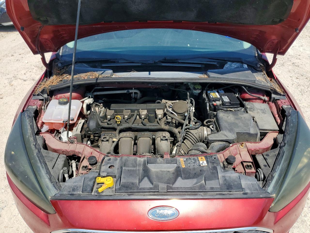 2015 Ford Focus Burgundy vin: 1FADP3K20FL252843