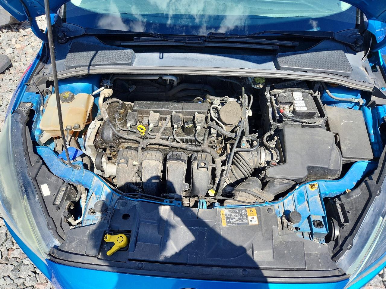 2015 Ford Focus Se Blue vin: 1FADP3K20FL369077