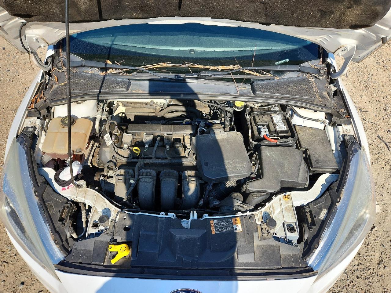 2015 Ford Focus Se White vin: 1FADP3K20FL384209