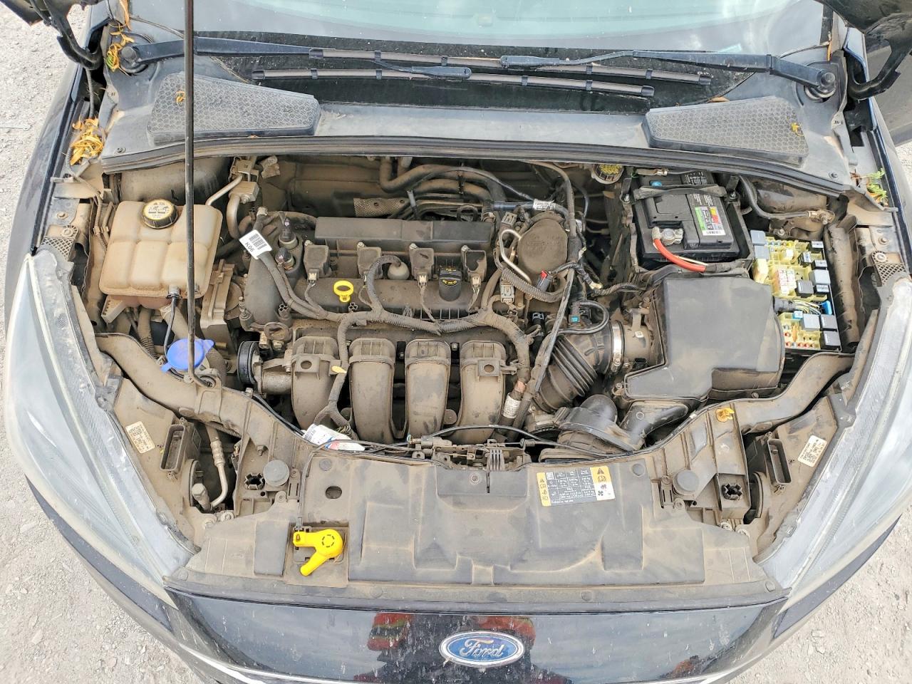 2016 Ford Focus Se Black vin: 1FADP3K20GL285875