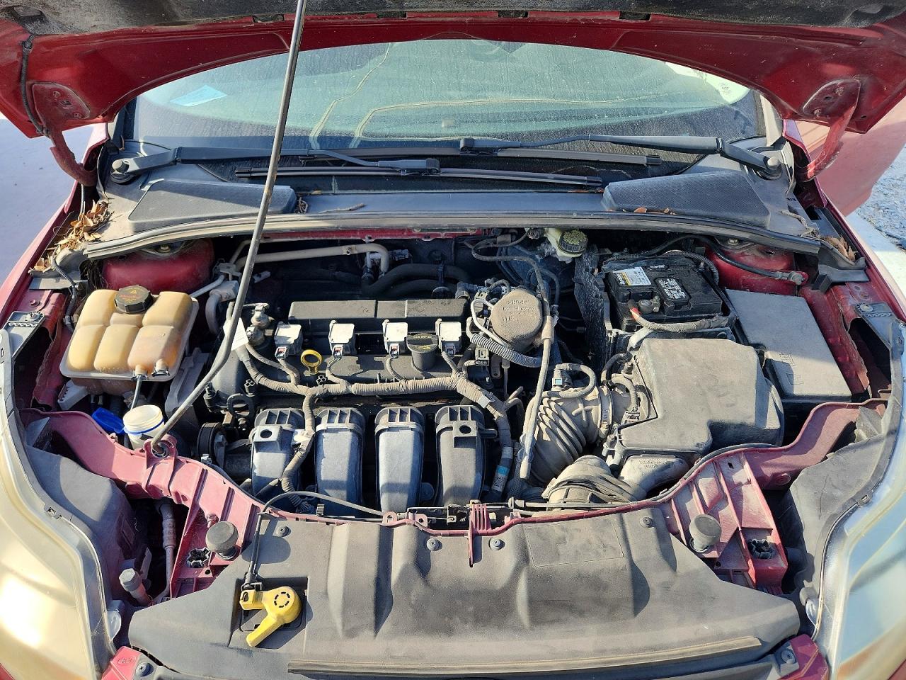 2013 Ford Focus Se Темно-бордовый vin: 1FADP3K21DL233893
