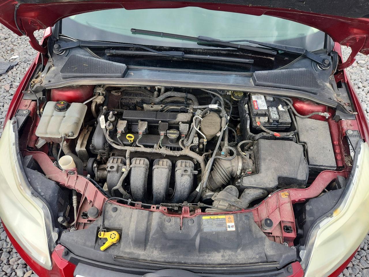 2013 Ford Focus Se Red vin: 1FADP3K21DL381655