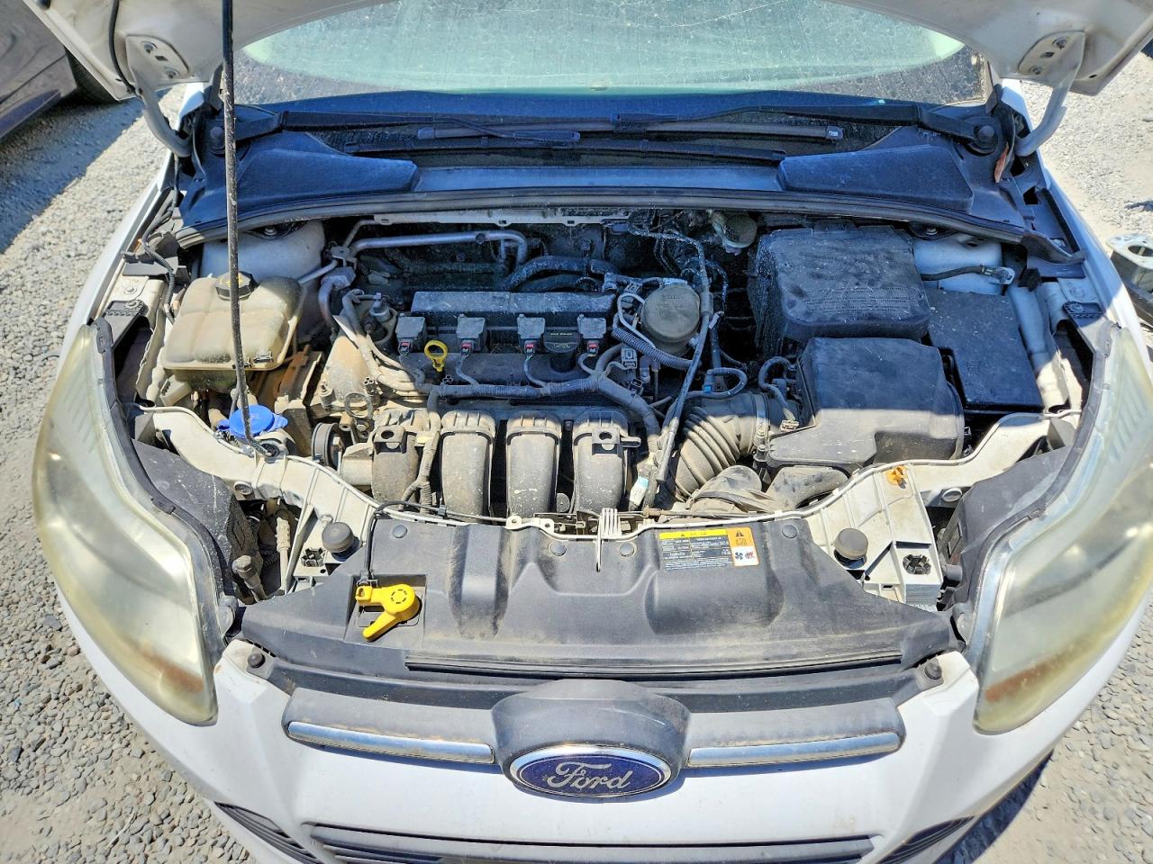 2014 Ford Focus Se White vin: 1FADP3K21EL123685
