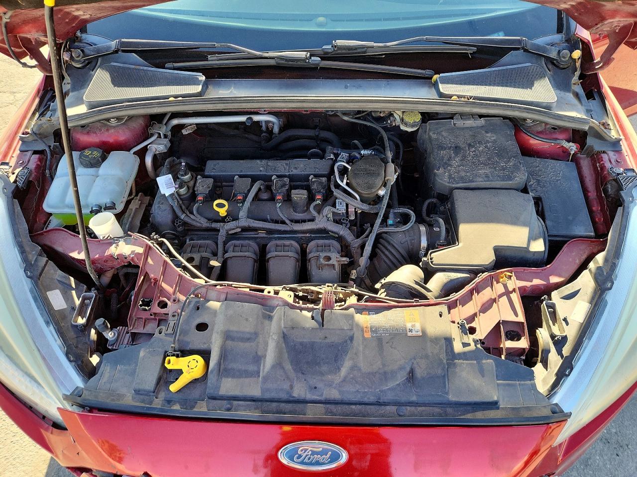 2015 Ford Focus Se Red vin: 1FADP3K21FL211203