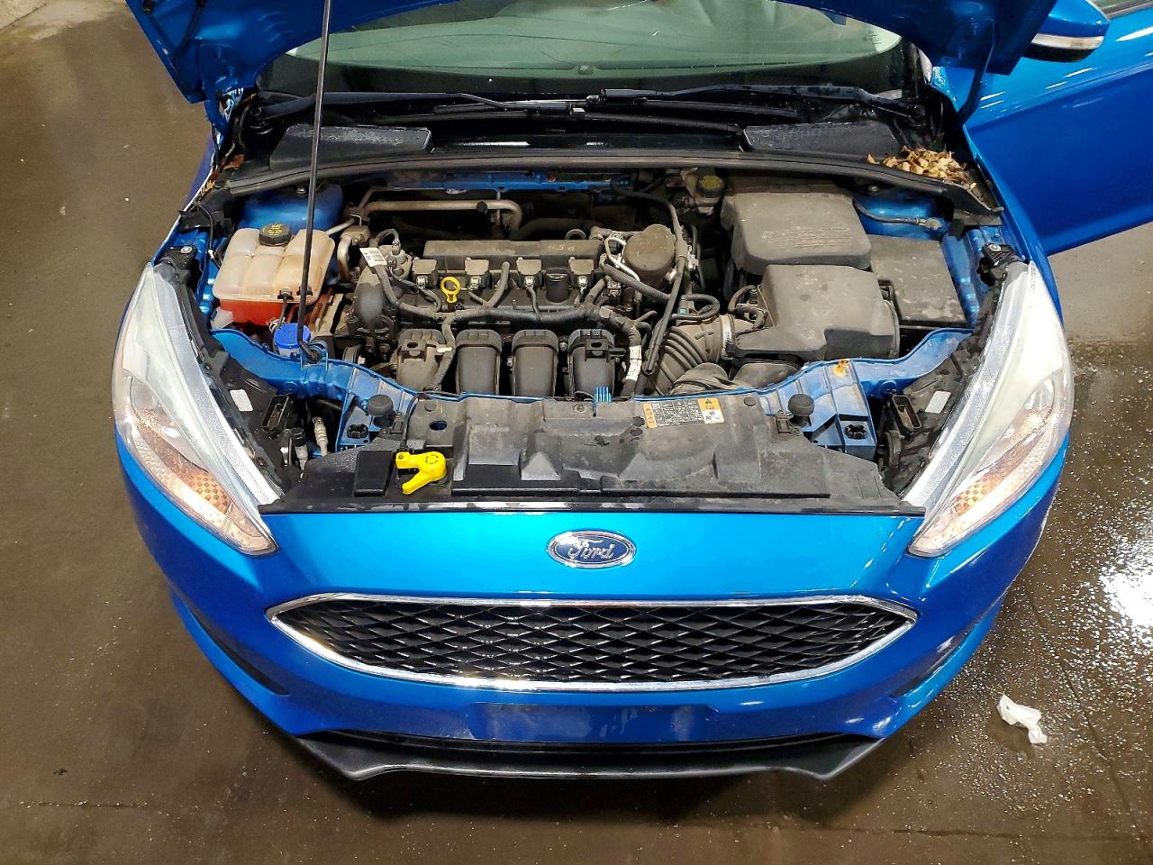 2015 Ford Focus Se Blue vin: 1FADP3K21FL269361