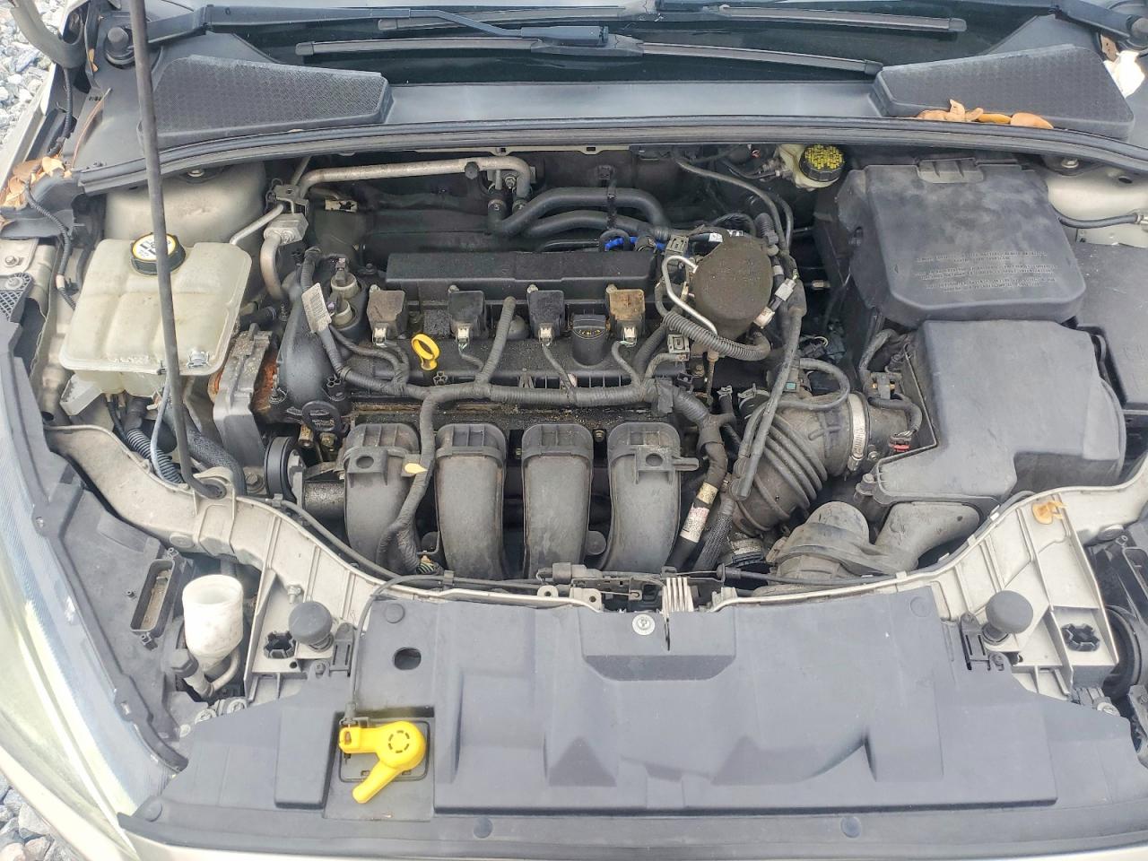2015 Ford Focus Se Beige vin: 1FADP3K21FL302651