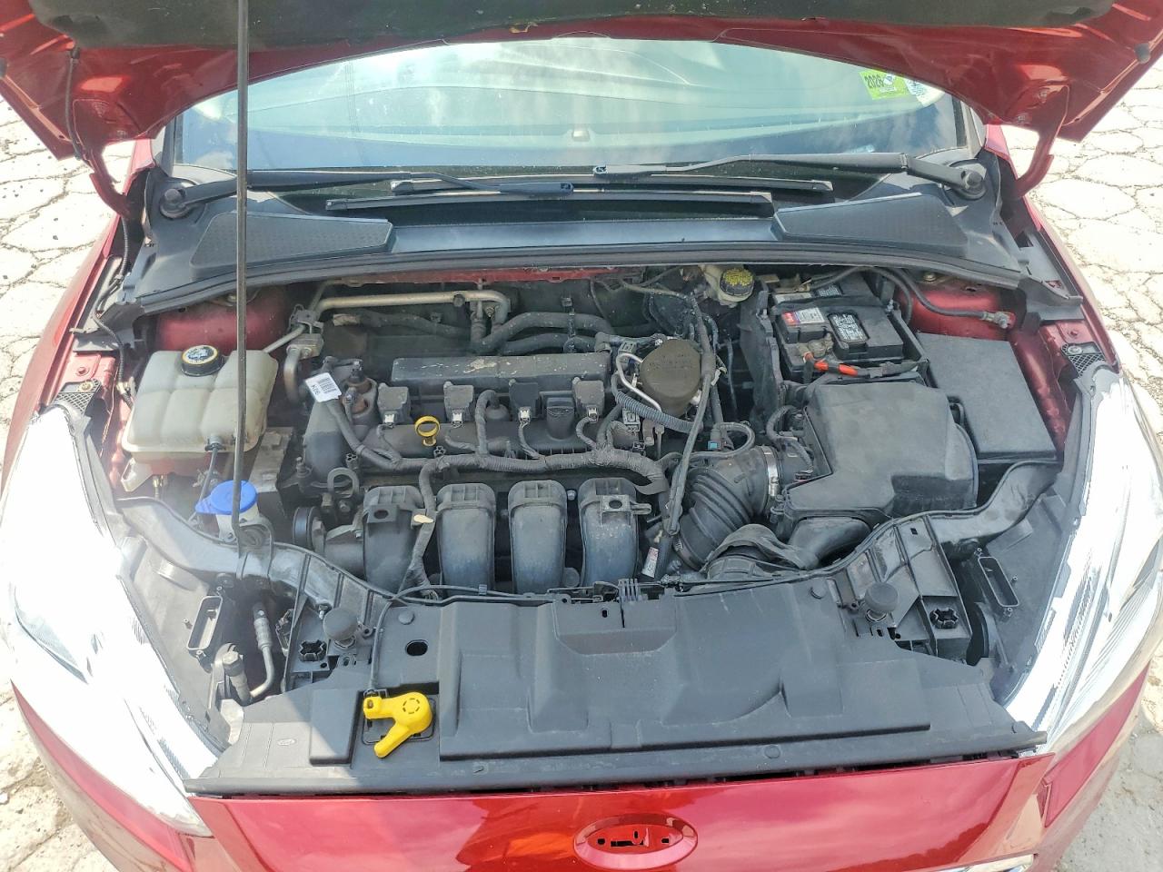 2015 Ford Focus Se Maroon vin: 1FADP3K21FL372005