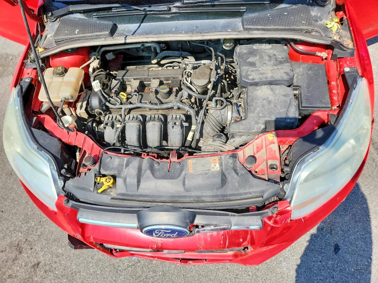 2014 Ford Focus Se Red vin: 1FADP3K22EL337844