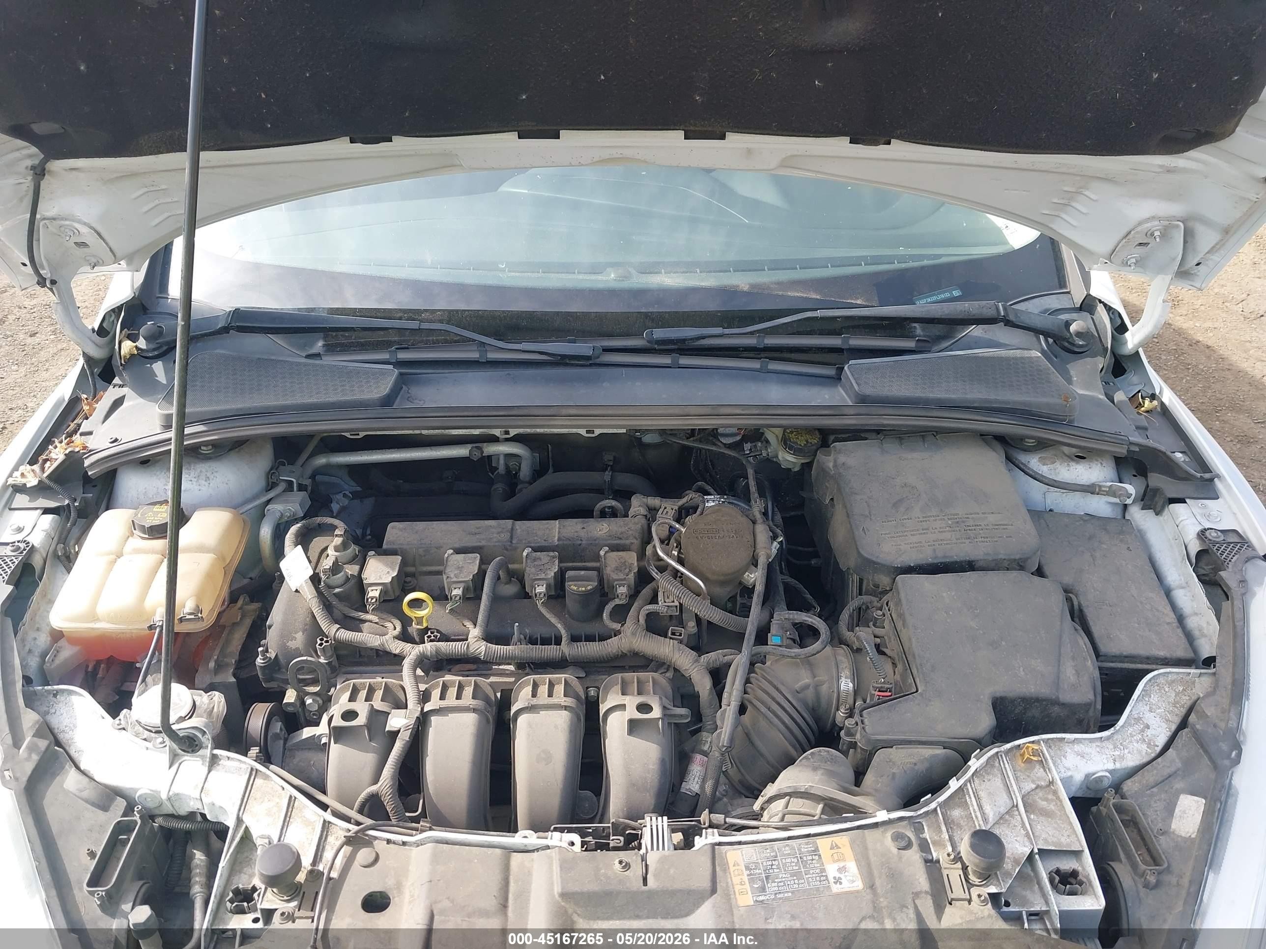 2015 Ford Focus Se White vin: 1FADP3K22FL316123