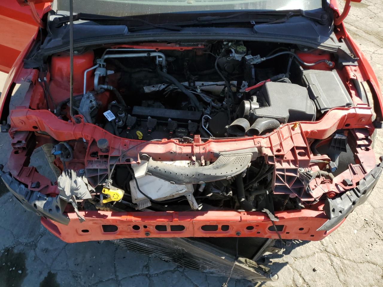2013 Ford Focus Se Red vin: 1FADP3K23DL125355
