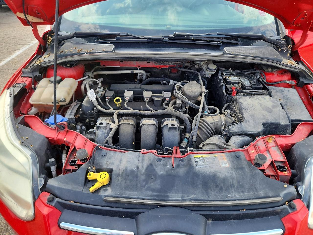 2014 Ford Focus Se Red vin: 1FADP3K23EL174413
