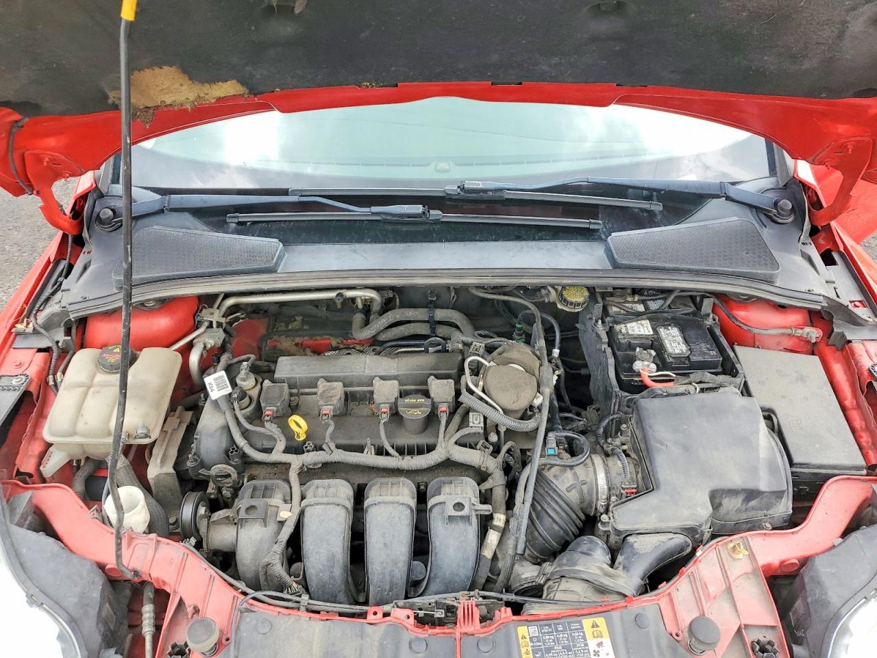 2014 Ford Focus Se Red vin: 1FADP3K23EL319319