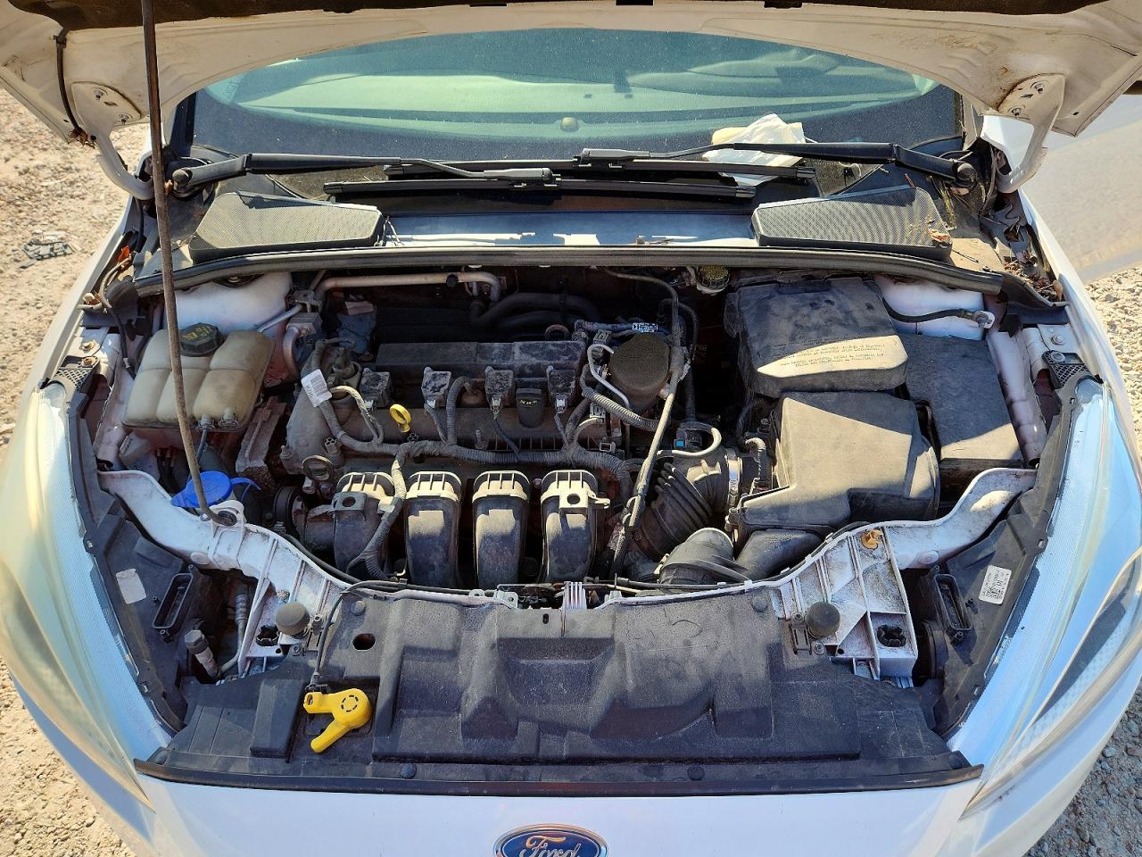 2015 Ford Focus Se White vin: 1FADP3K23FL270656