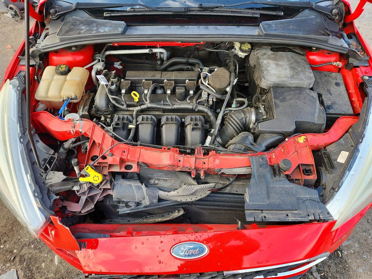 2015 Ford Focus Se Red vin: 1FADP3K23FL315515