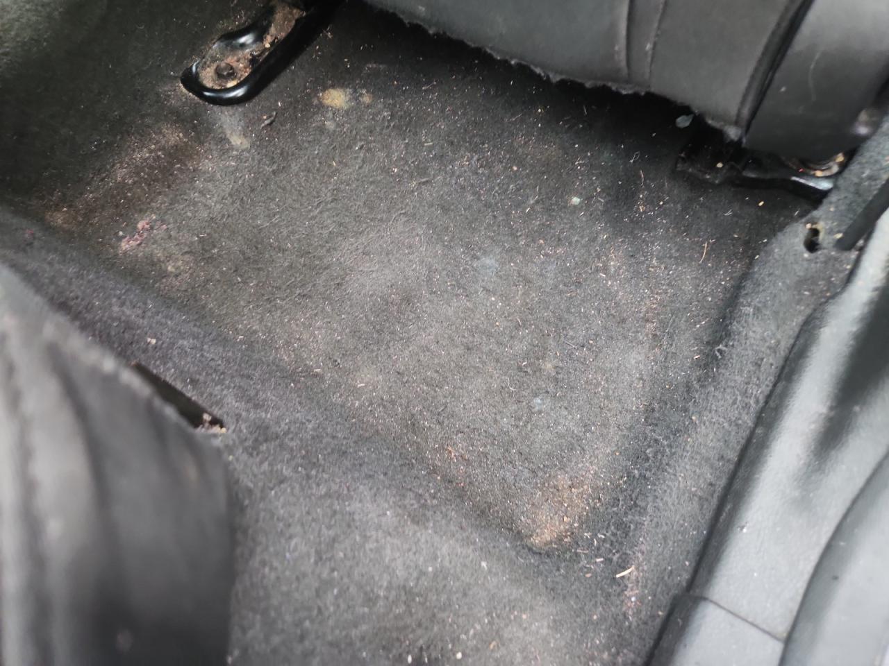 2016 Ford Focus Se White vin: 1FADP3K23GL339041 Damage: Right Rear Carpet, Stained, Permanent