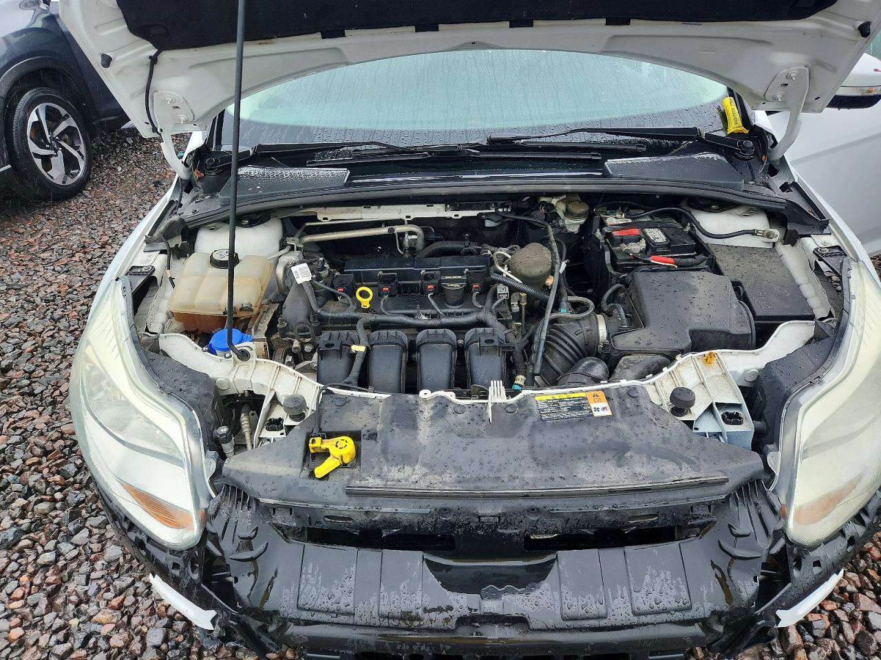 2013 Ford Focus Se White vin: 1FADP3K24DL231197