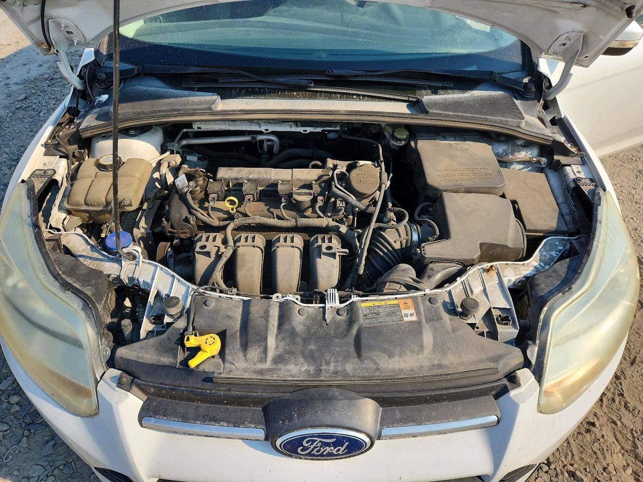 2013 Ford Focus Se White vin: 1FADP3K24DL339268