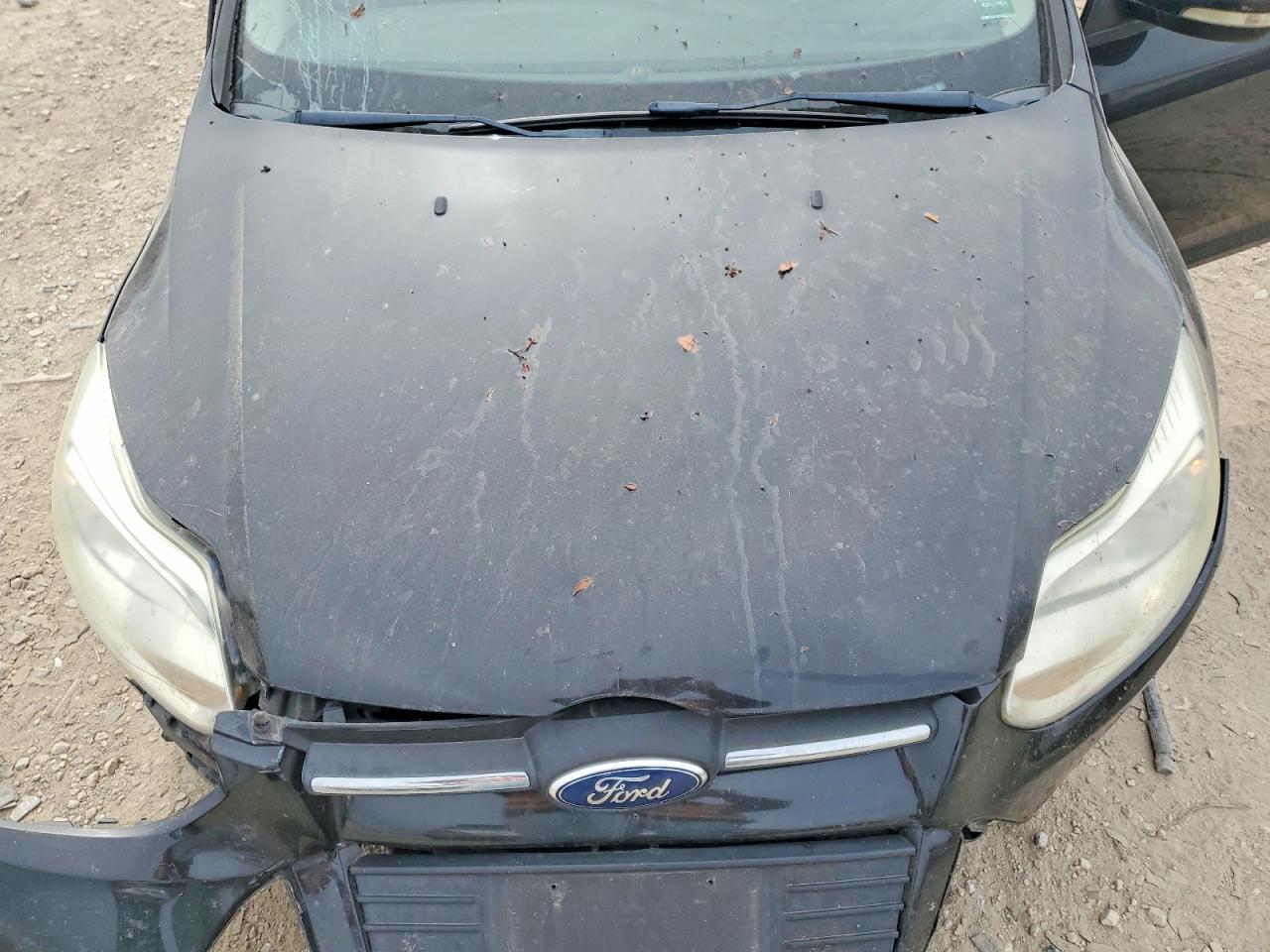 2013 Ford Focus Se Black vin: 1FADP3K24DL362985