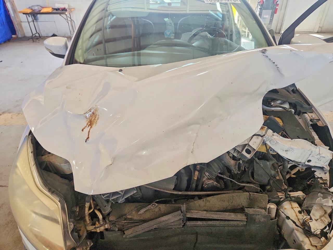 2014 Ford Focus White vin: 1FADP3K24EL286413