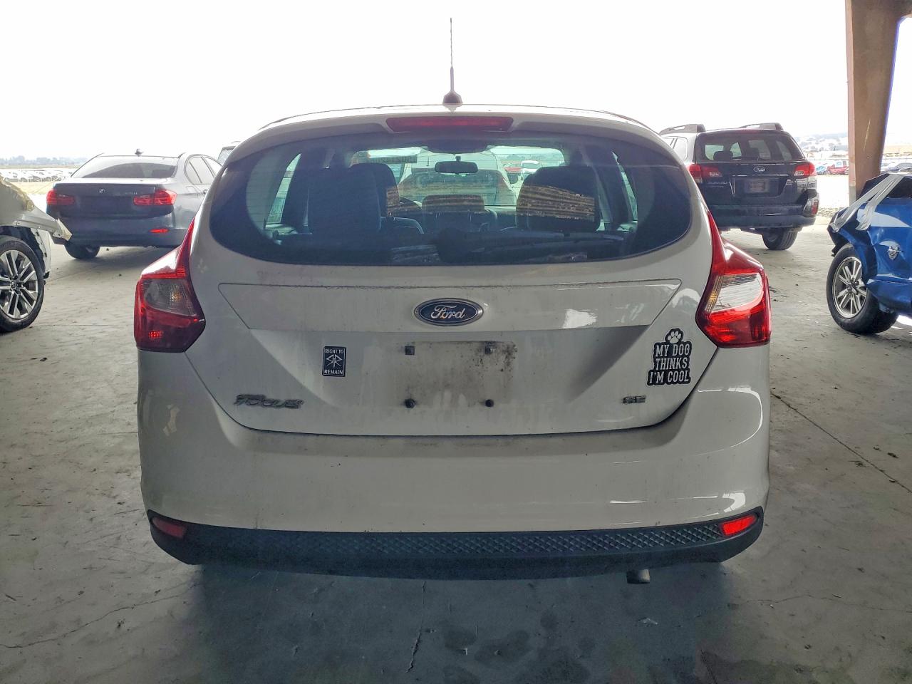 2014 Ford Focus Se White vin: 1FADP3K24EL322438