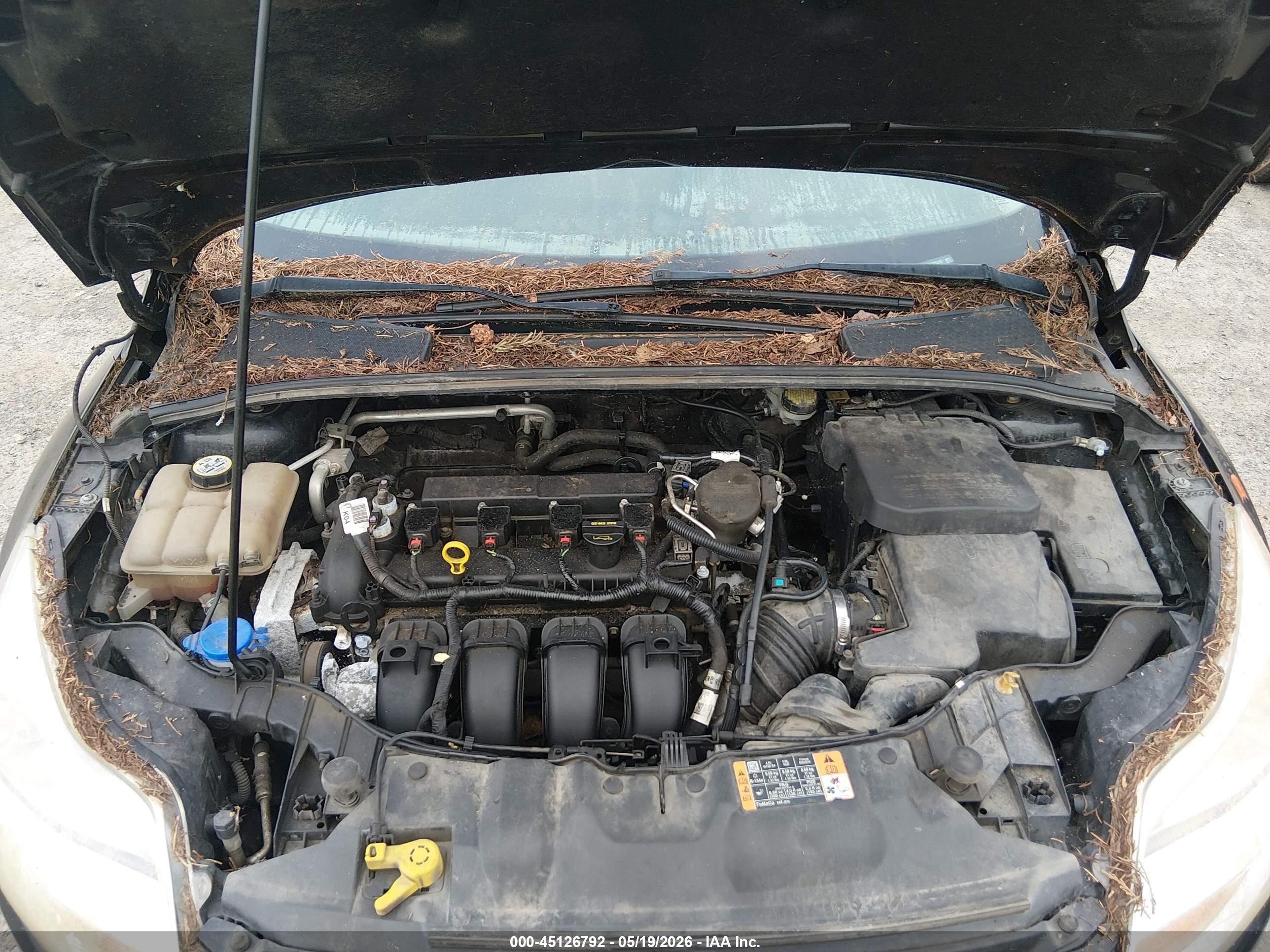 2014 Ford Focus Se Black vin: 1FADP3K24EL325310