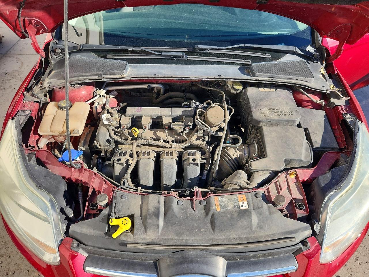 2014 Ford Focus Se Red vin: 1FADP3K24EL327381