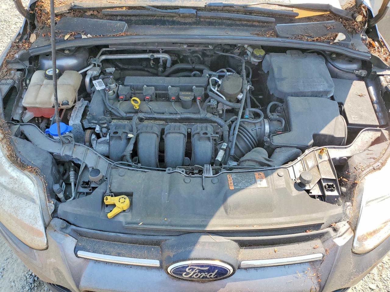 2014 Ford Focus Se Gray vin: 1FADP3K24EL382946