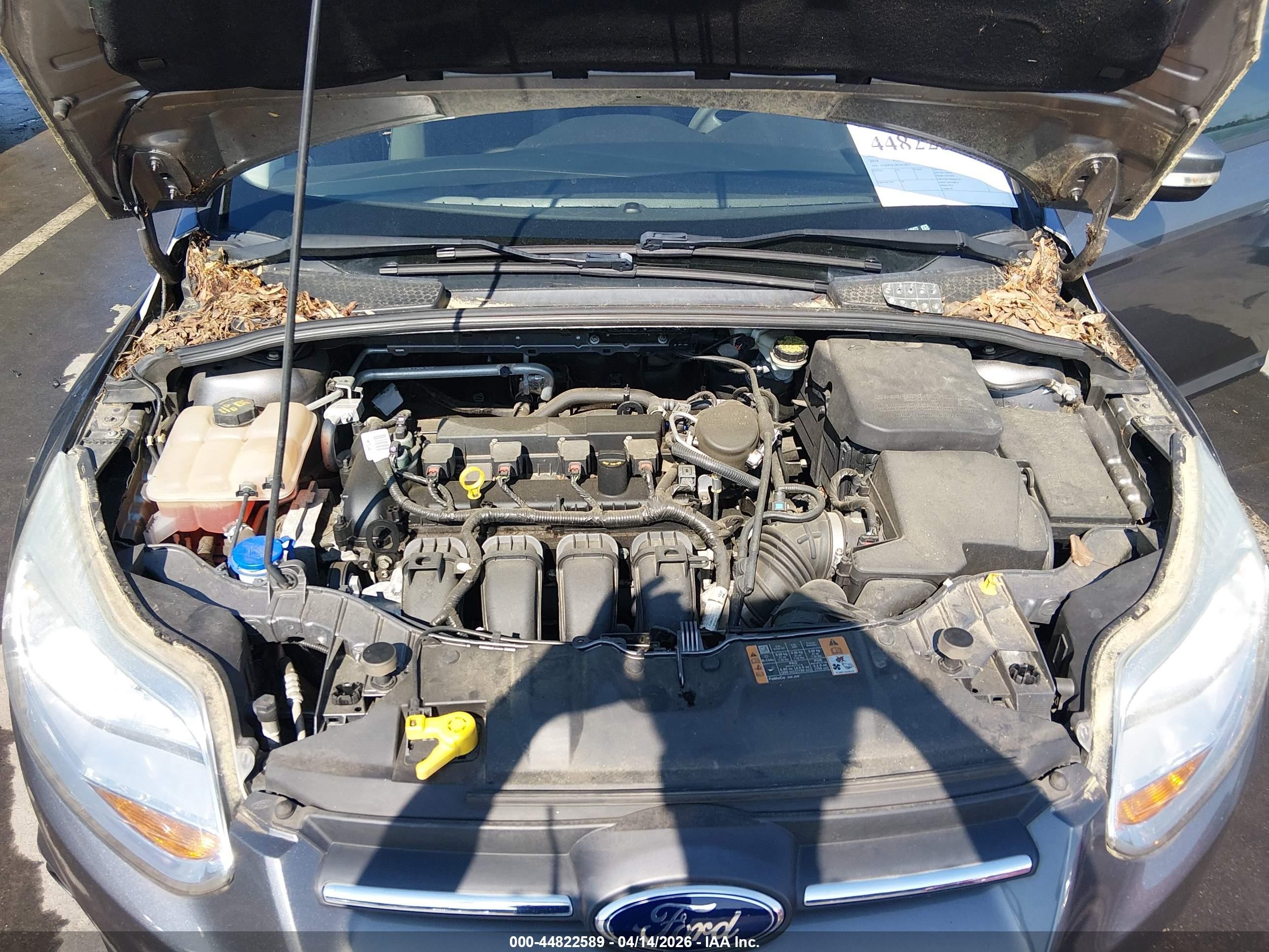 2014 Ford Focus Se Gray vin: 1FADP3K24EL435872