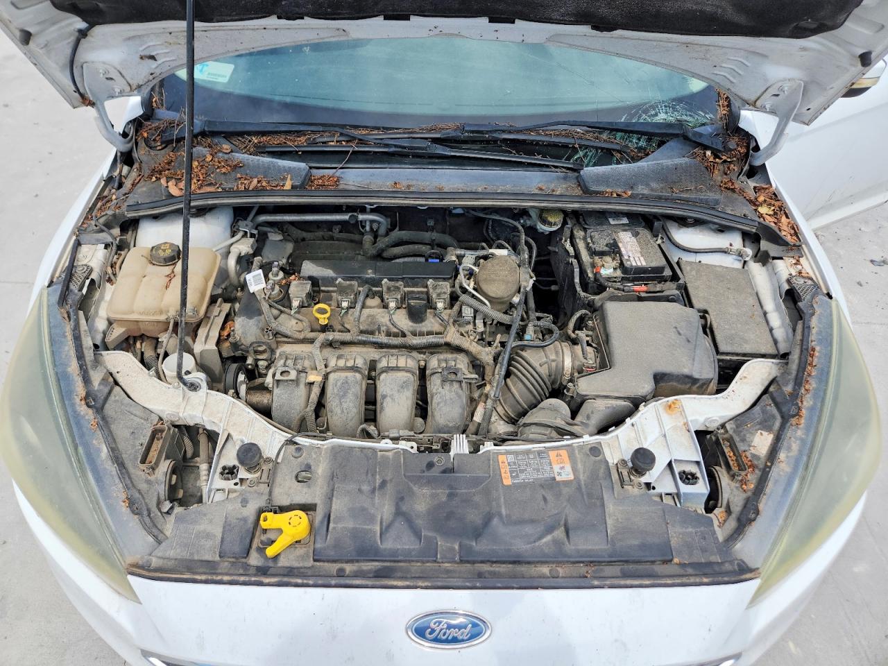 2015 Ford Focus Se White vin: 1FADP3K24FL232577