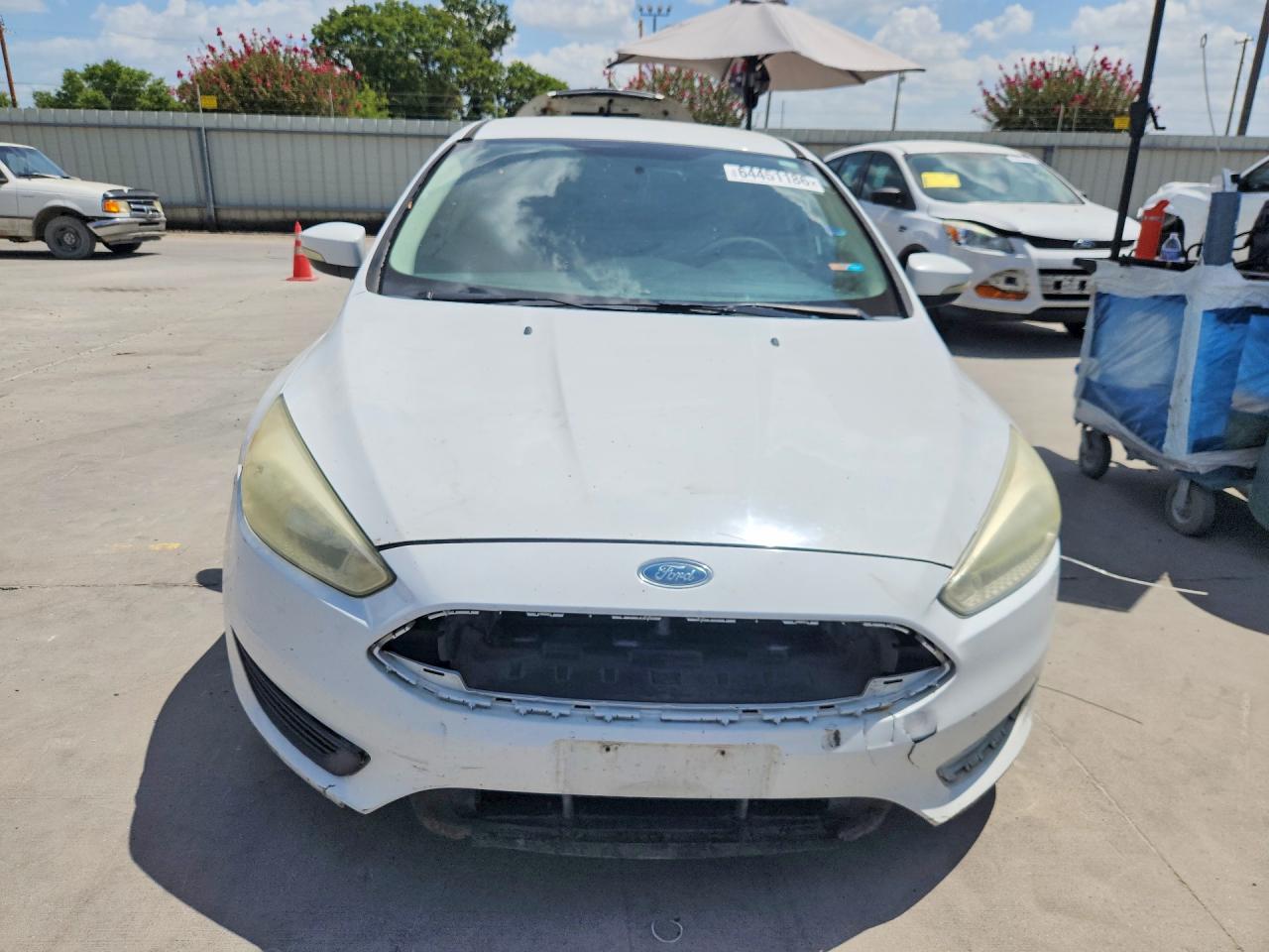 2015 Ford Focus Se Белый vin: 1FADP3K24FL262890
