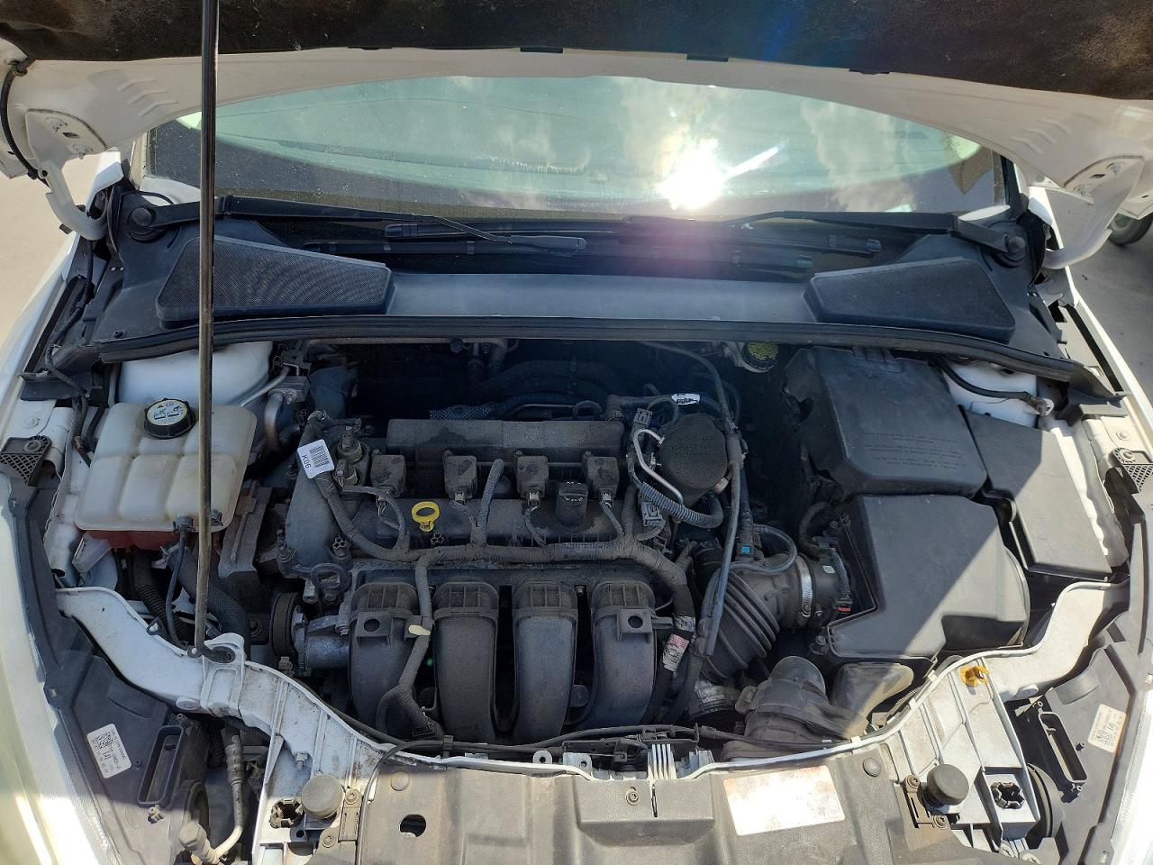 2015 Ford Focus Se Белый vin: 1FADP3K24FL262890